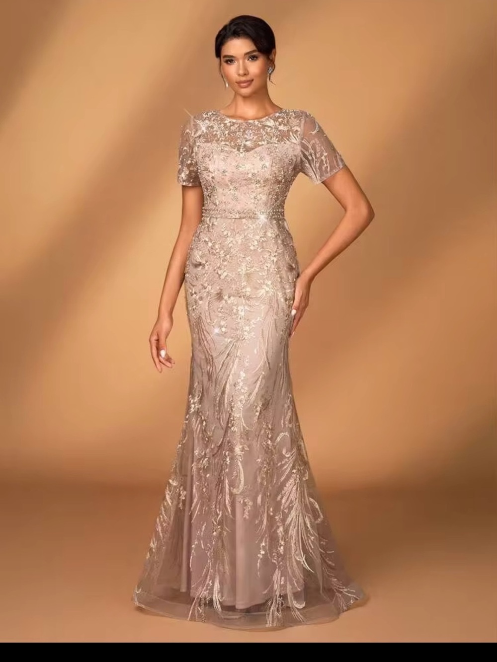 Short Sleeve Sheer Evening Gown